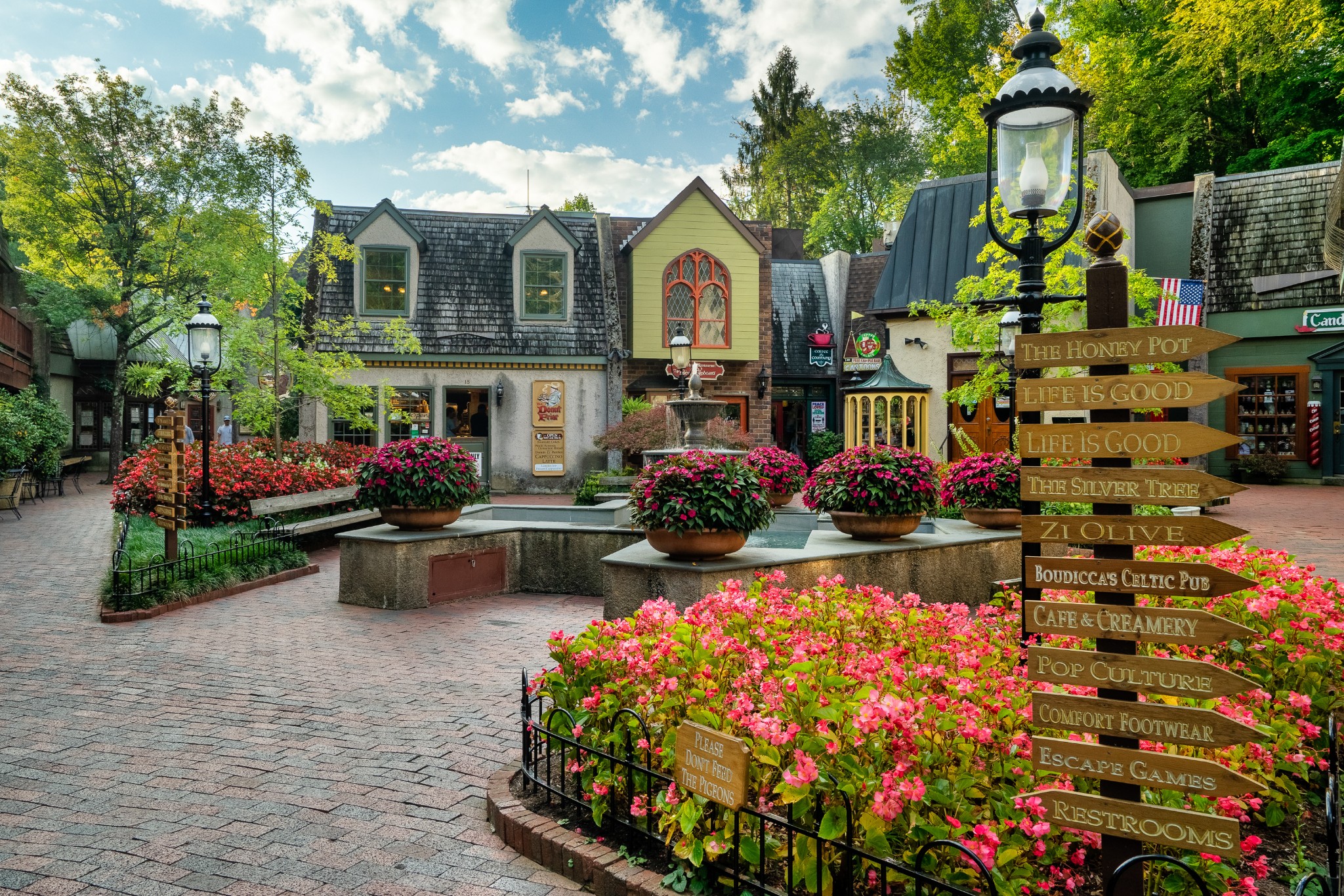 240 Forrest Loop Way