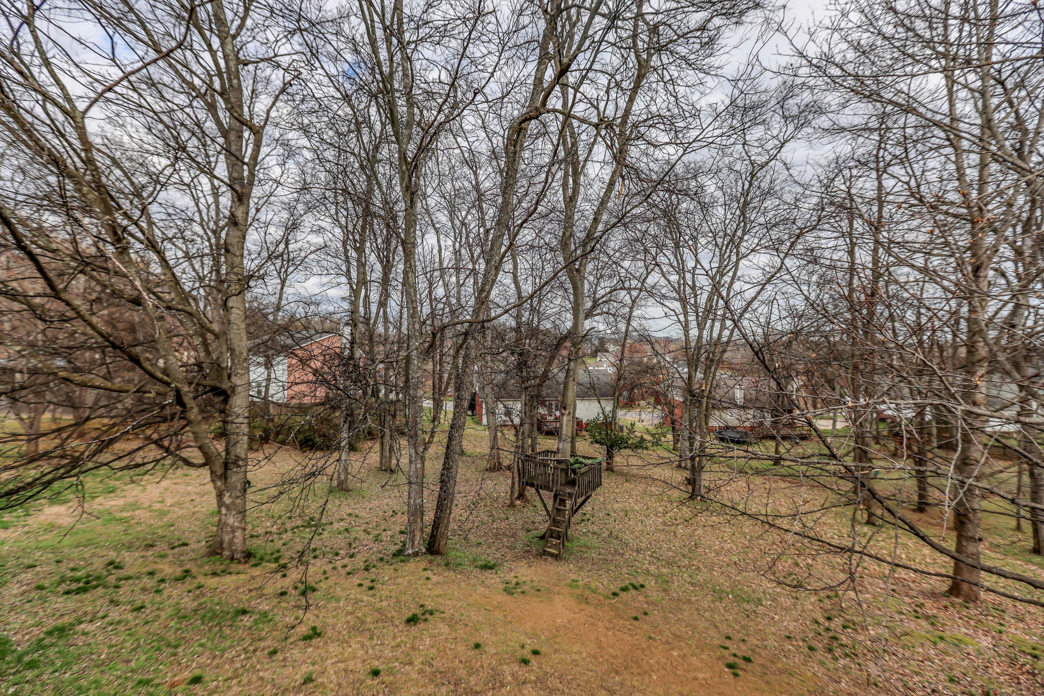 110 Calloway Ln