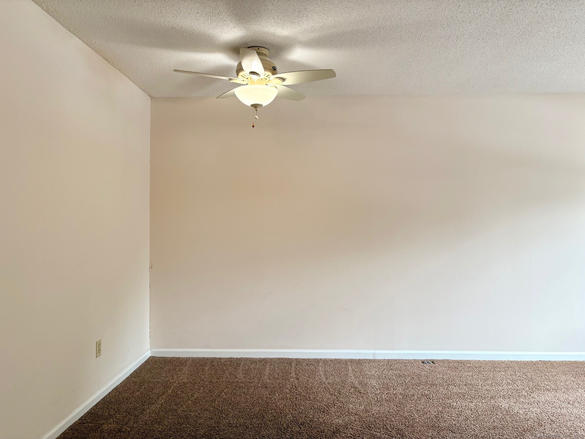 310 Booth Street APT S