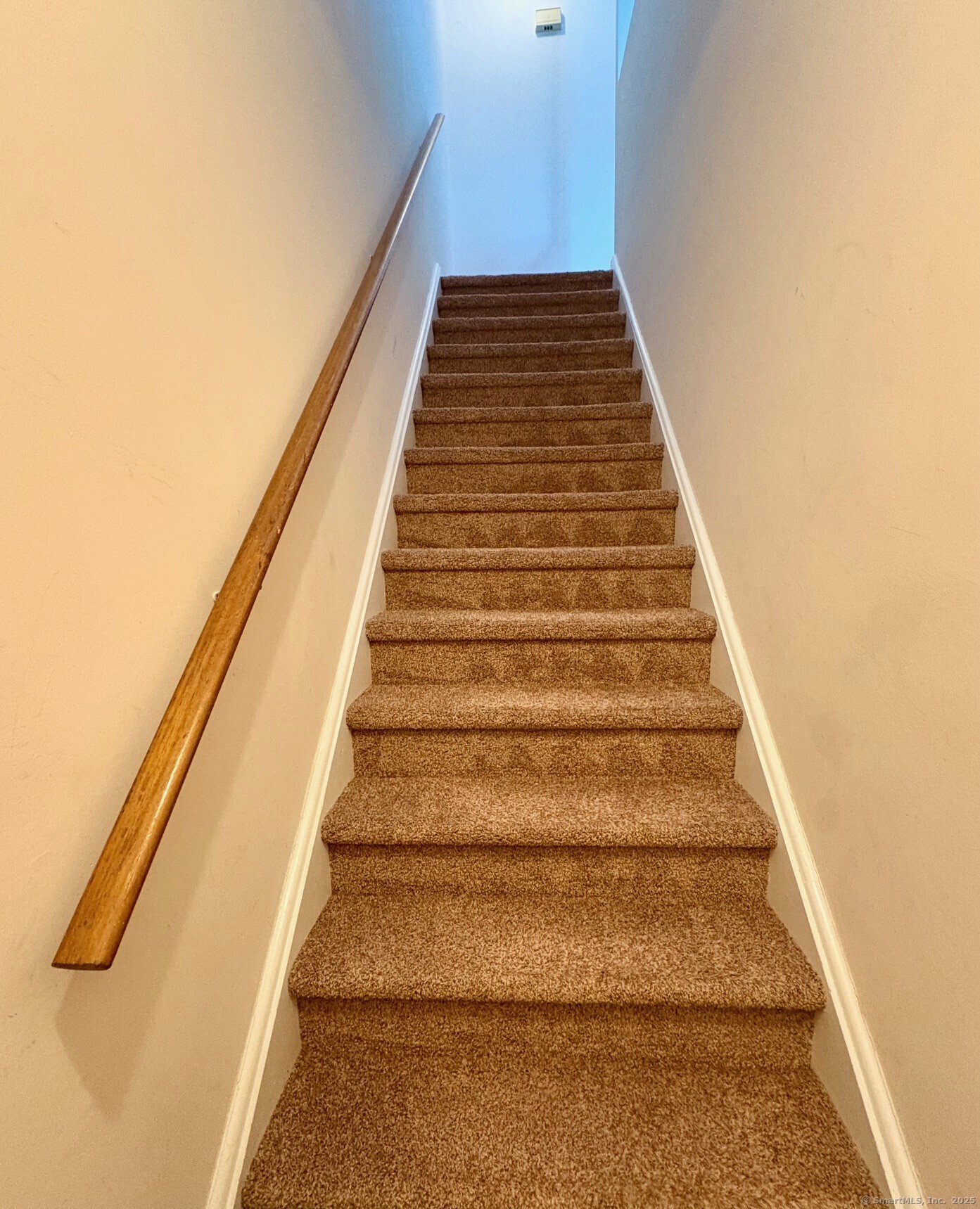 310 Booth Street APT S