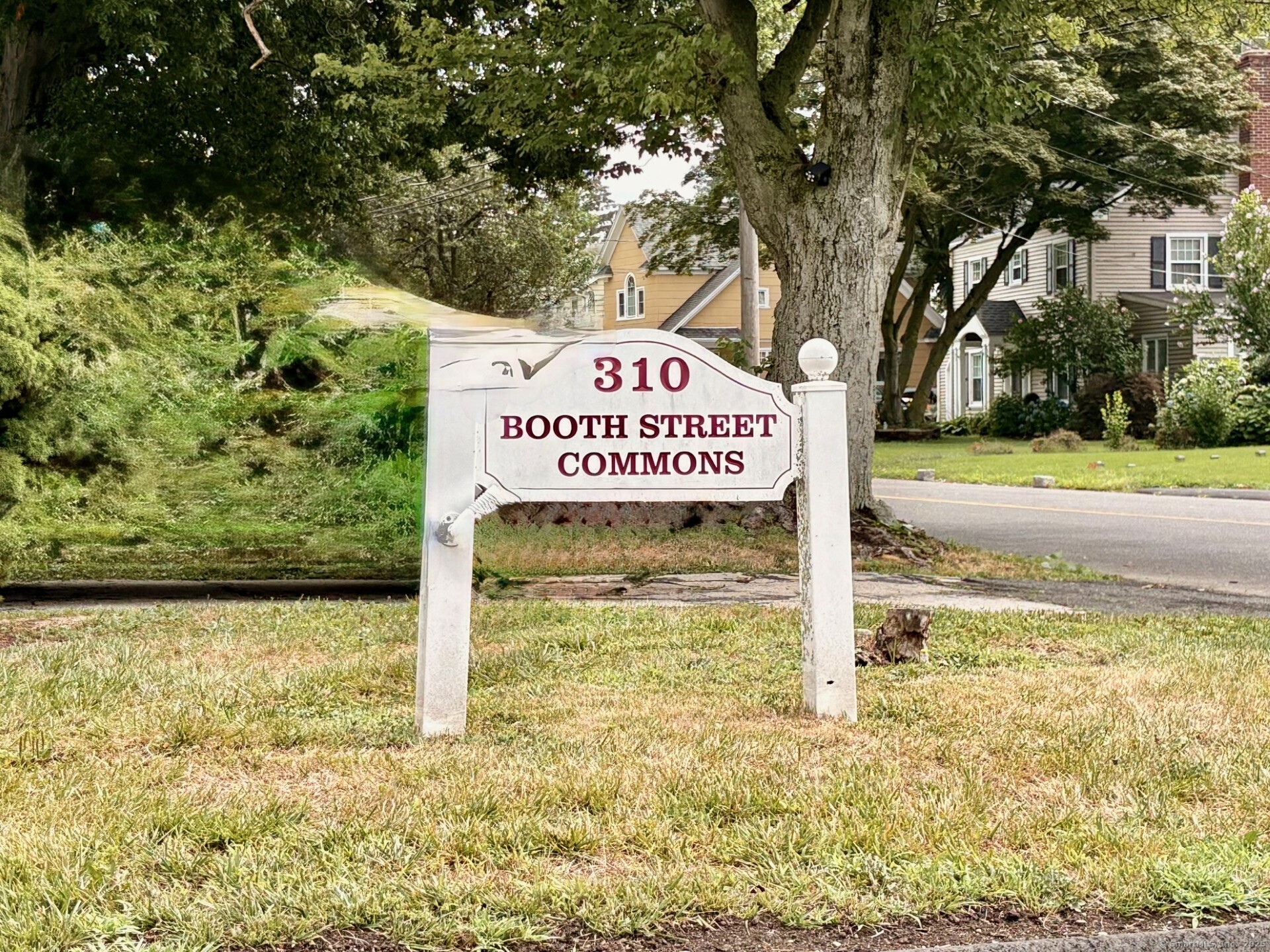 310 Booth Street APT S