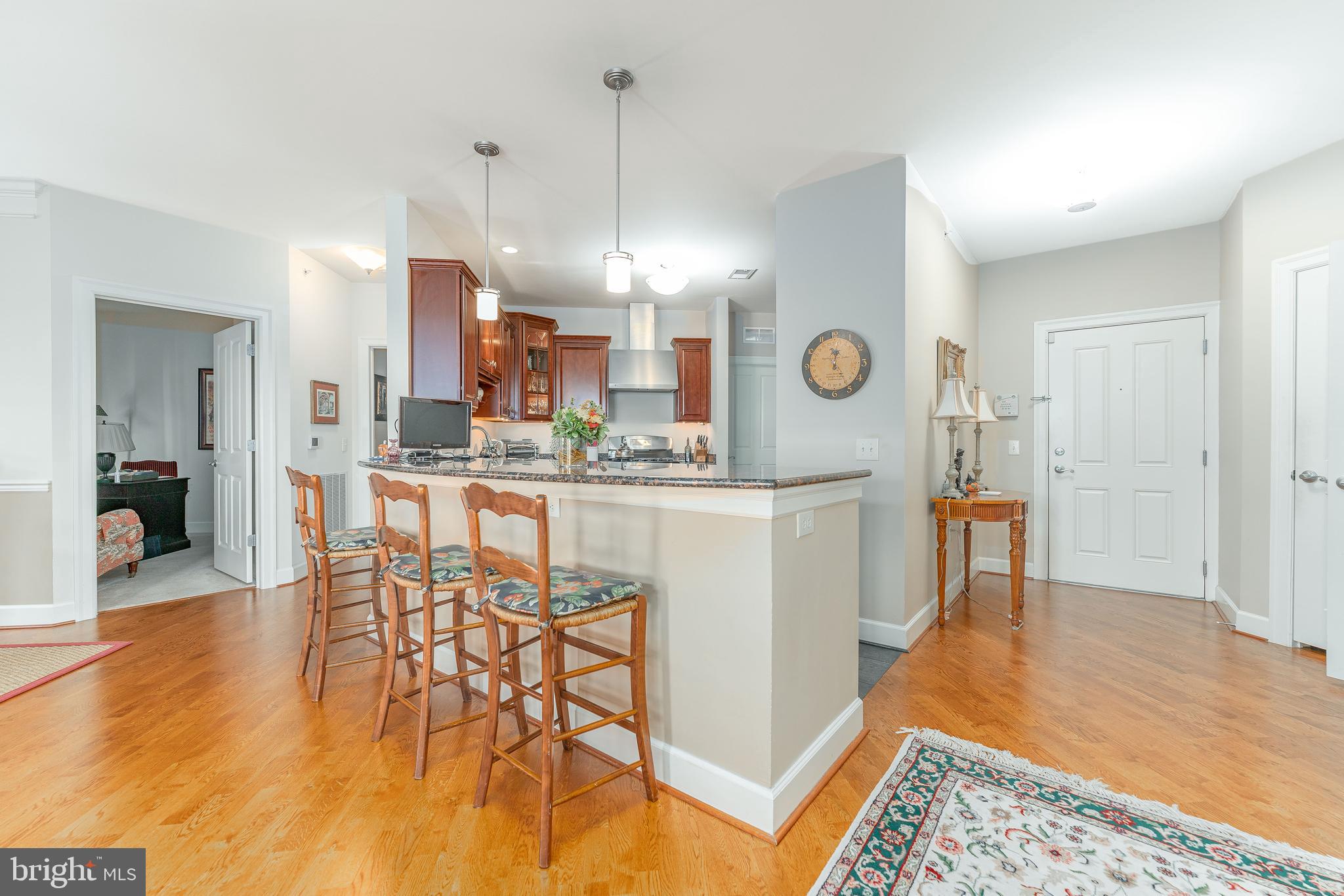 241 CORNERSTONE DRIVE
