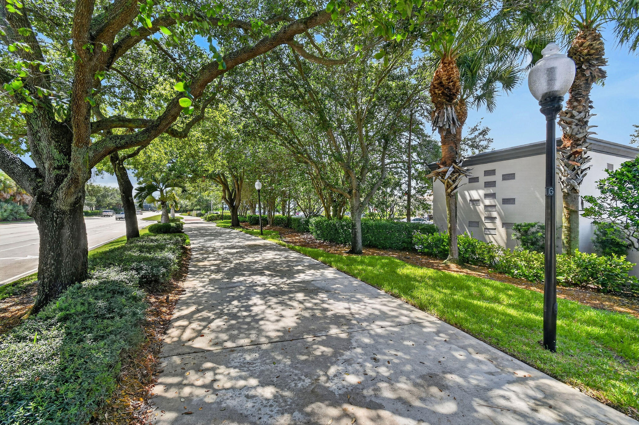 4903 Midtown Lane 3116