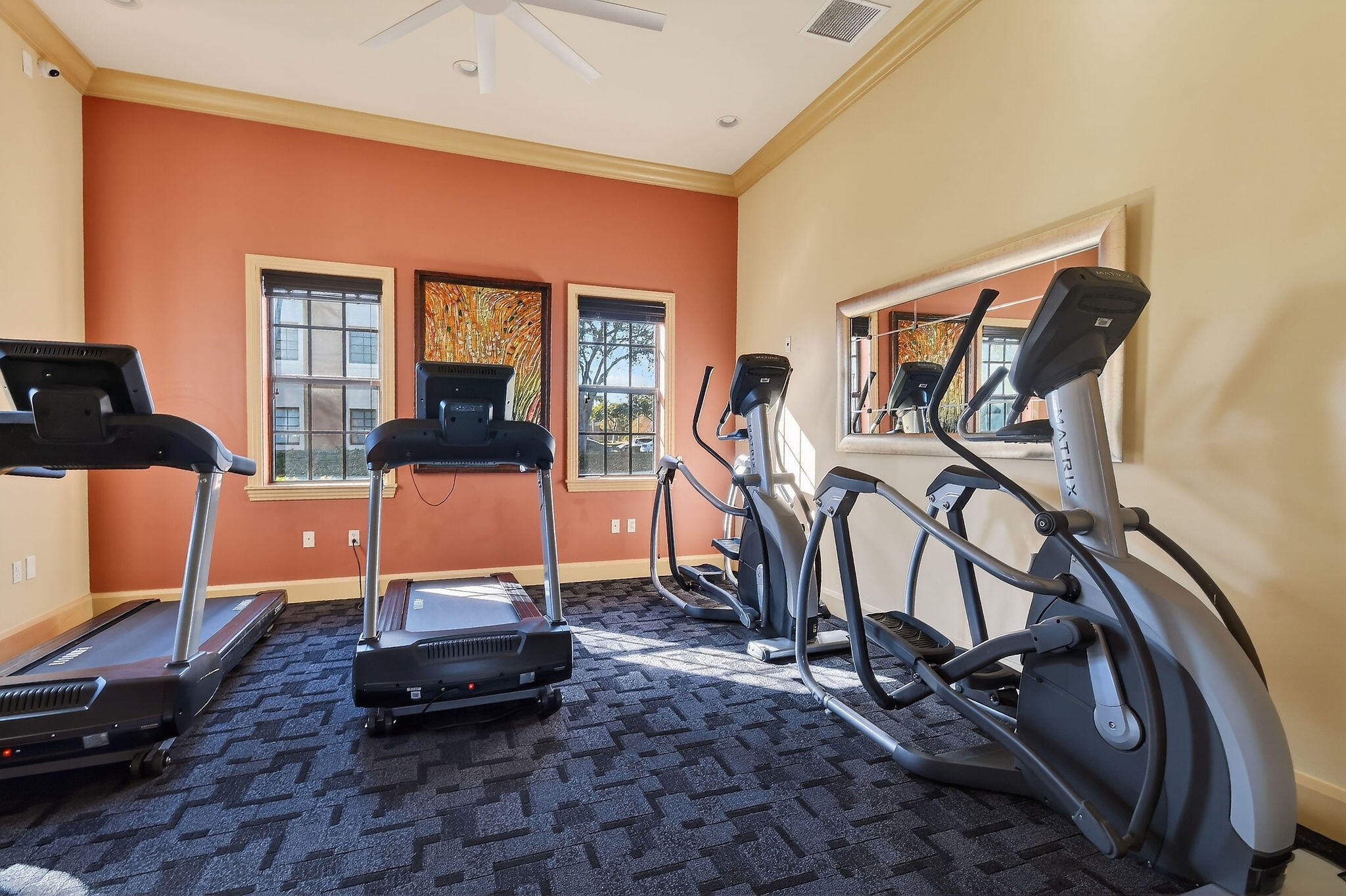 4903 Midtown Lane 3116