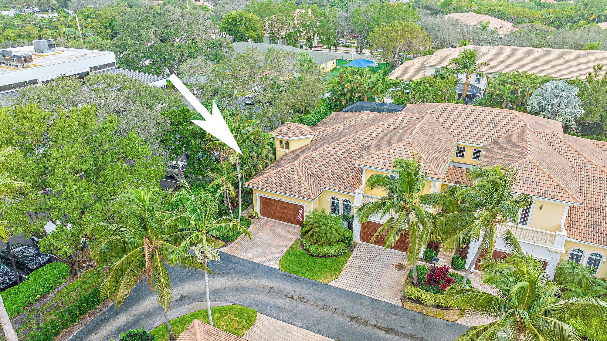 115 Renaissance Drive .