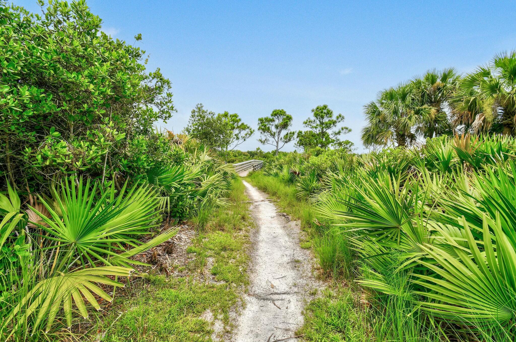 110 Sea Plum Drive 101