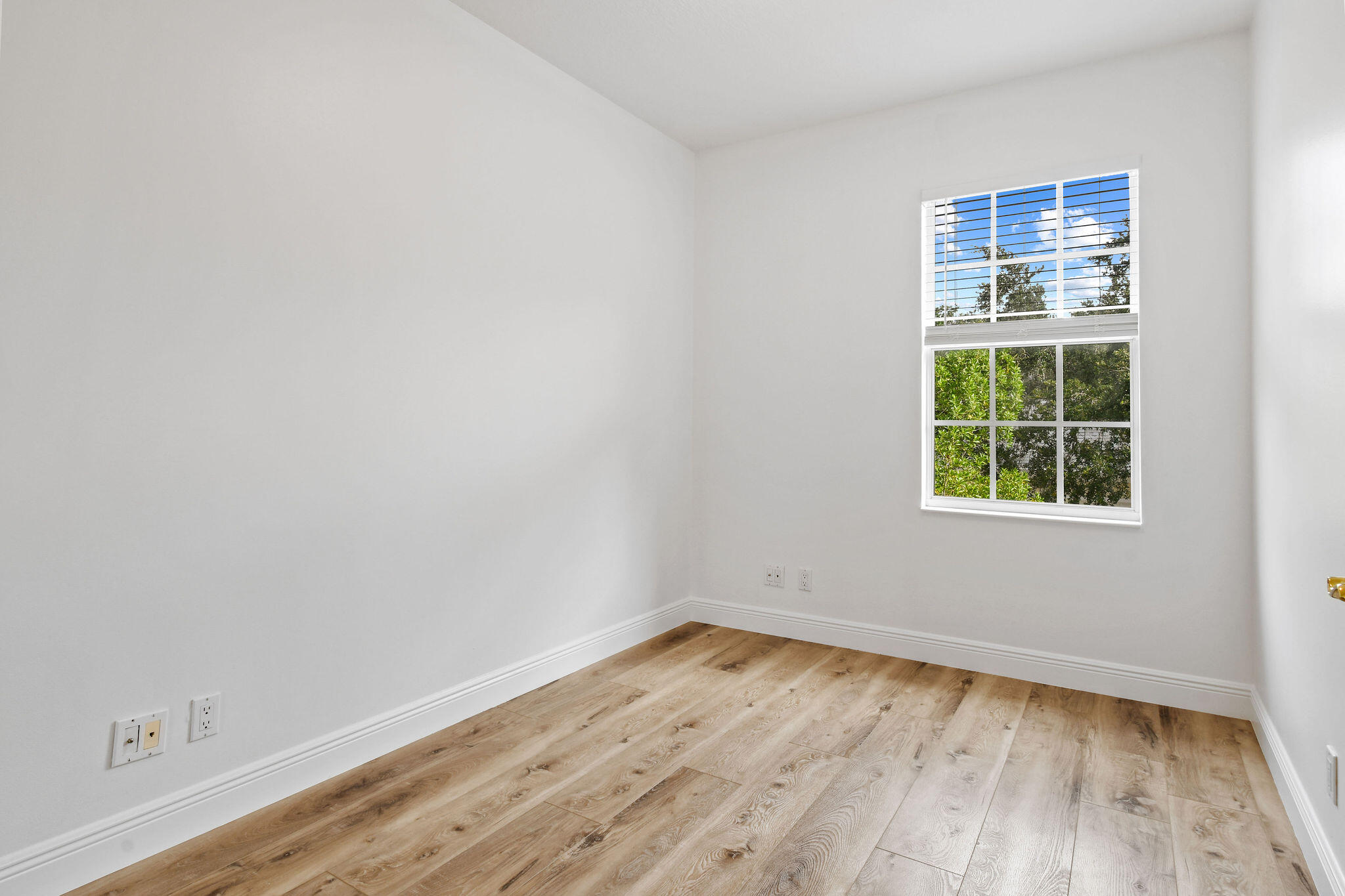 354 Jacaranda Drive