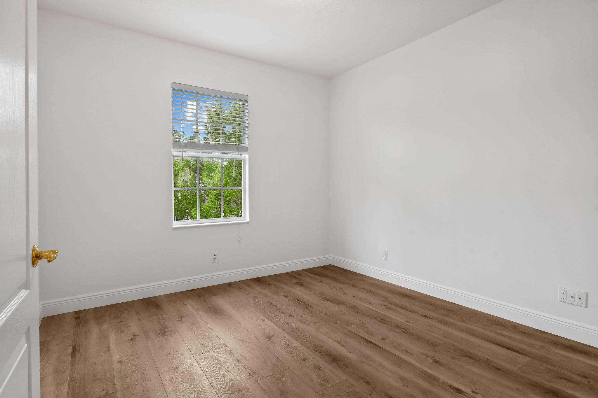 354 Jacaranda Drive