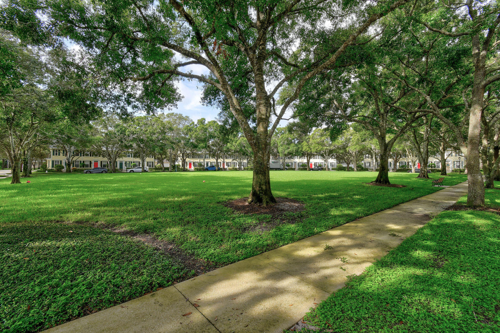 354 Jacaranda Drive