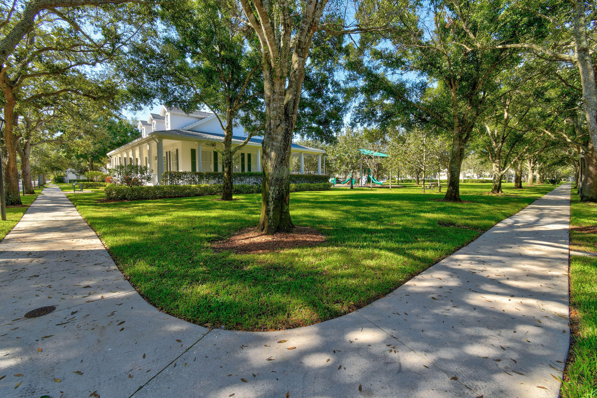 354 Jacaranda Drive