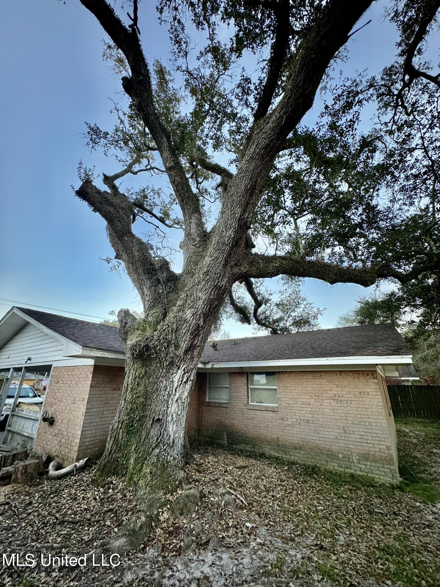 218 Hunter Drive