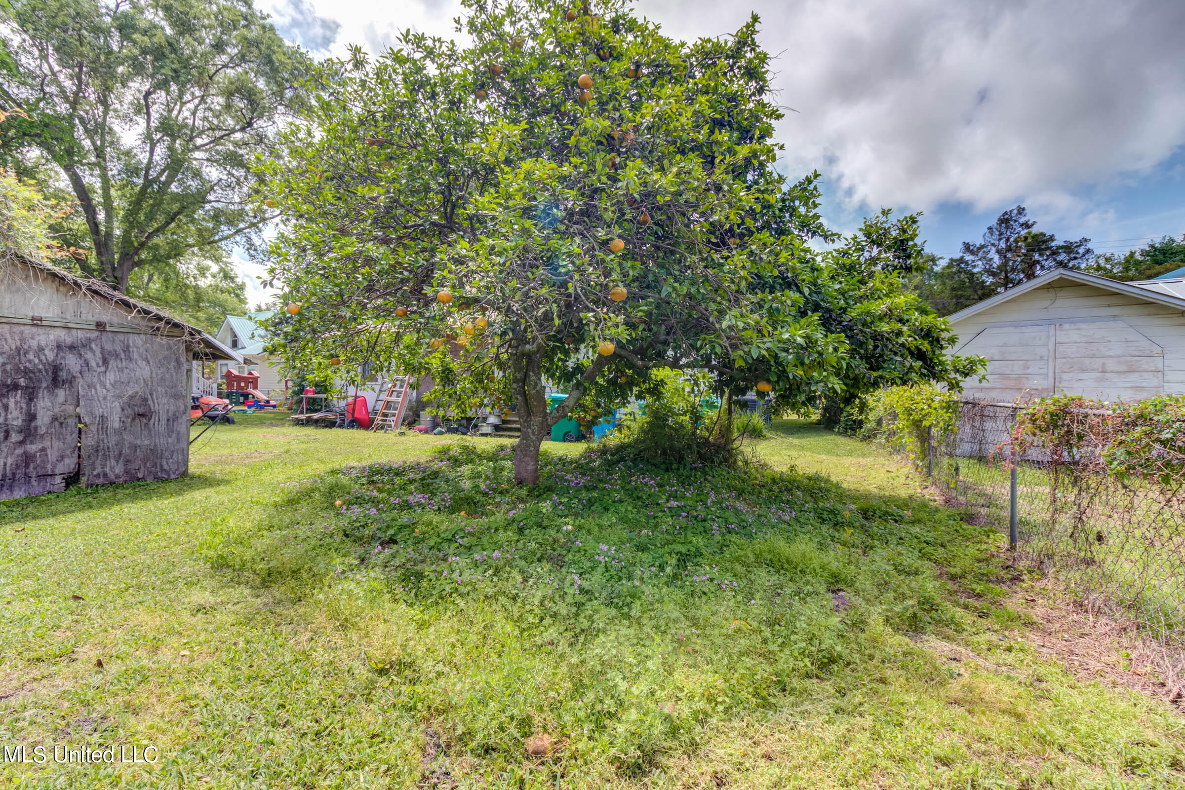 1203 Calhoun Street