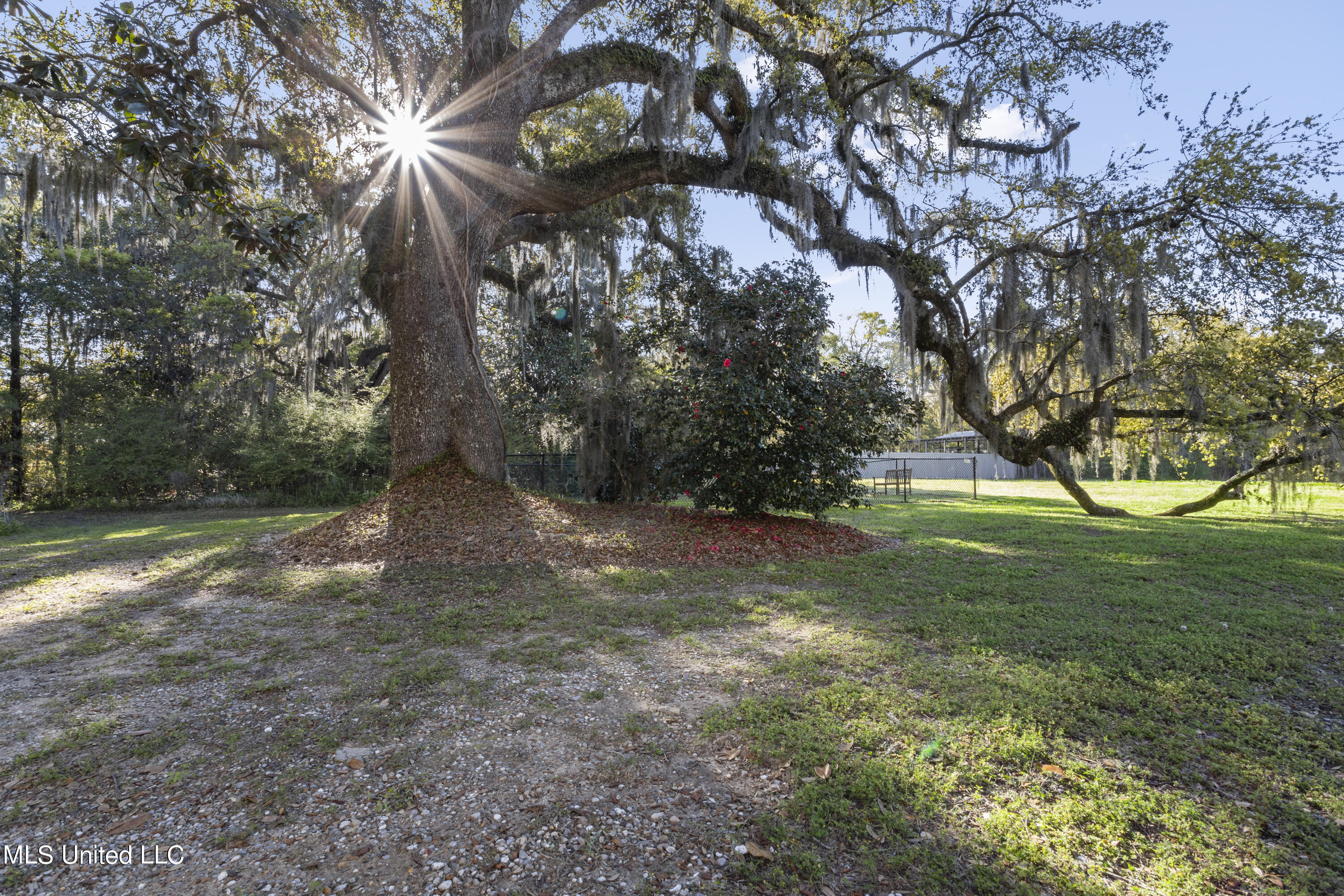 426 Elegans Court, 426