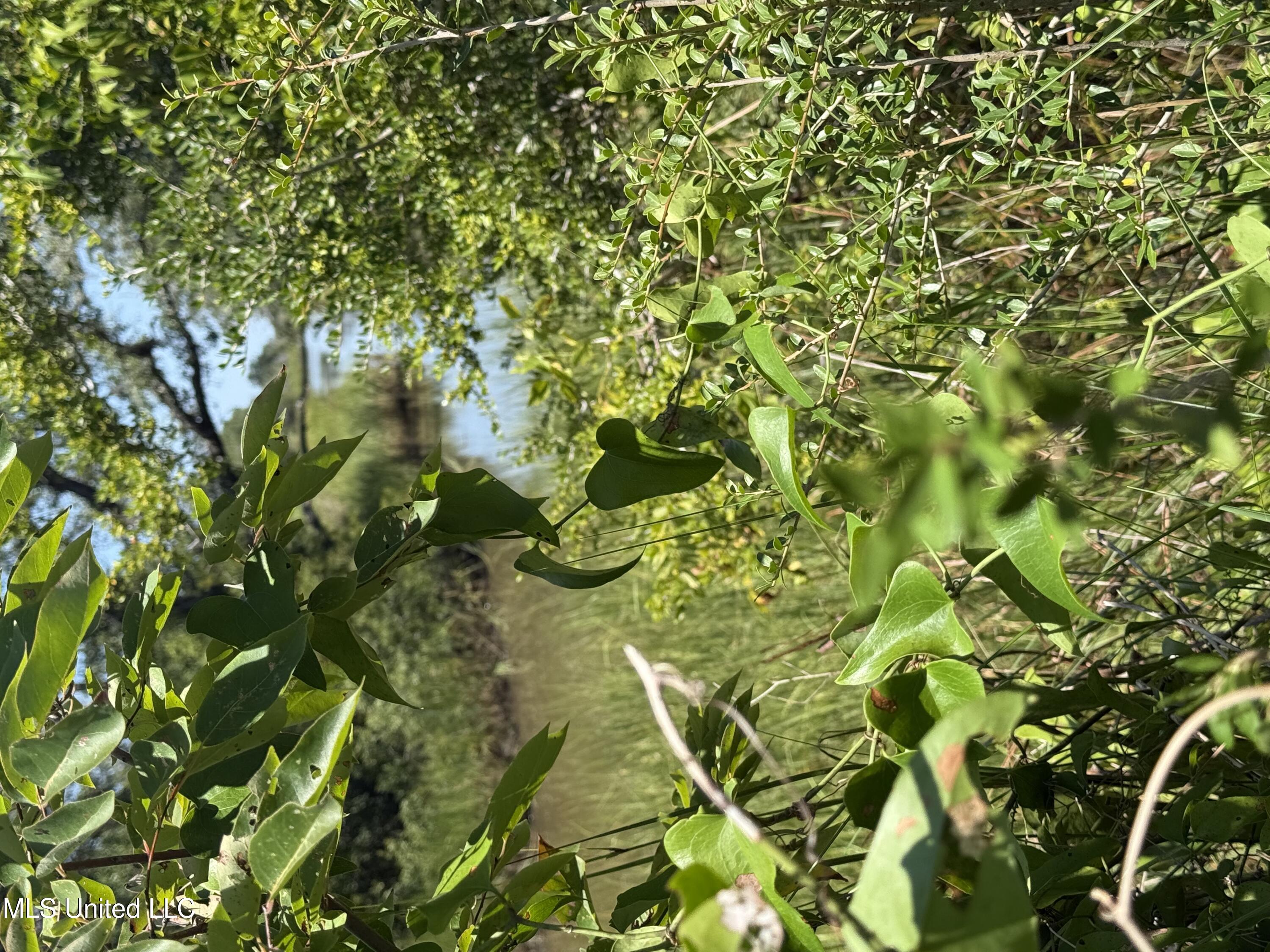 Belle Fontaine Drive