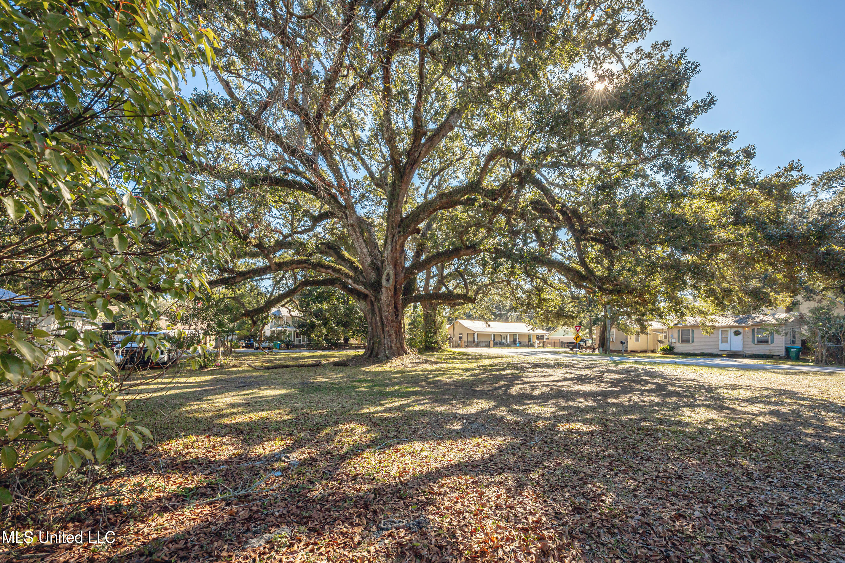 604 Magnolia Avenue
