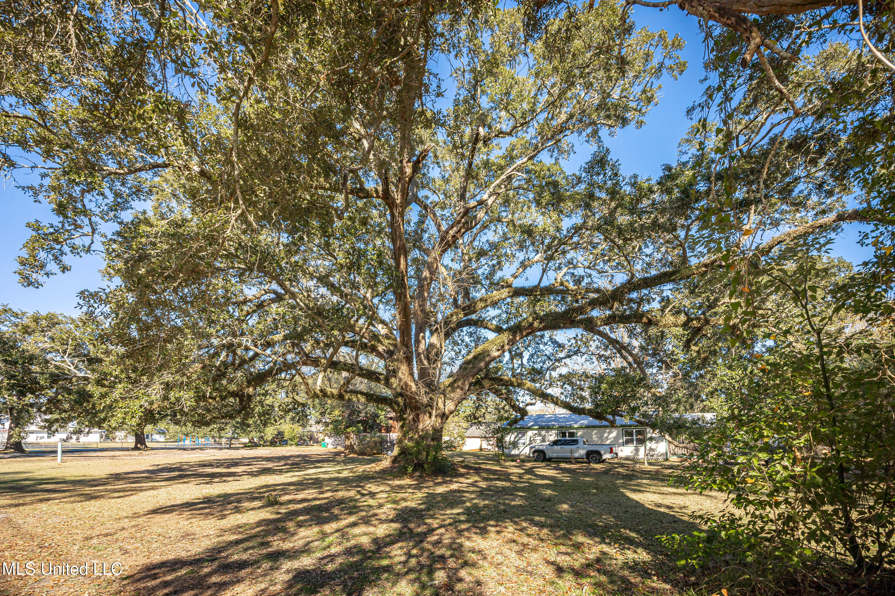 604 Magnolia Avenue