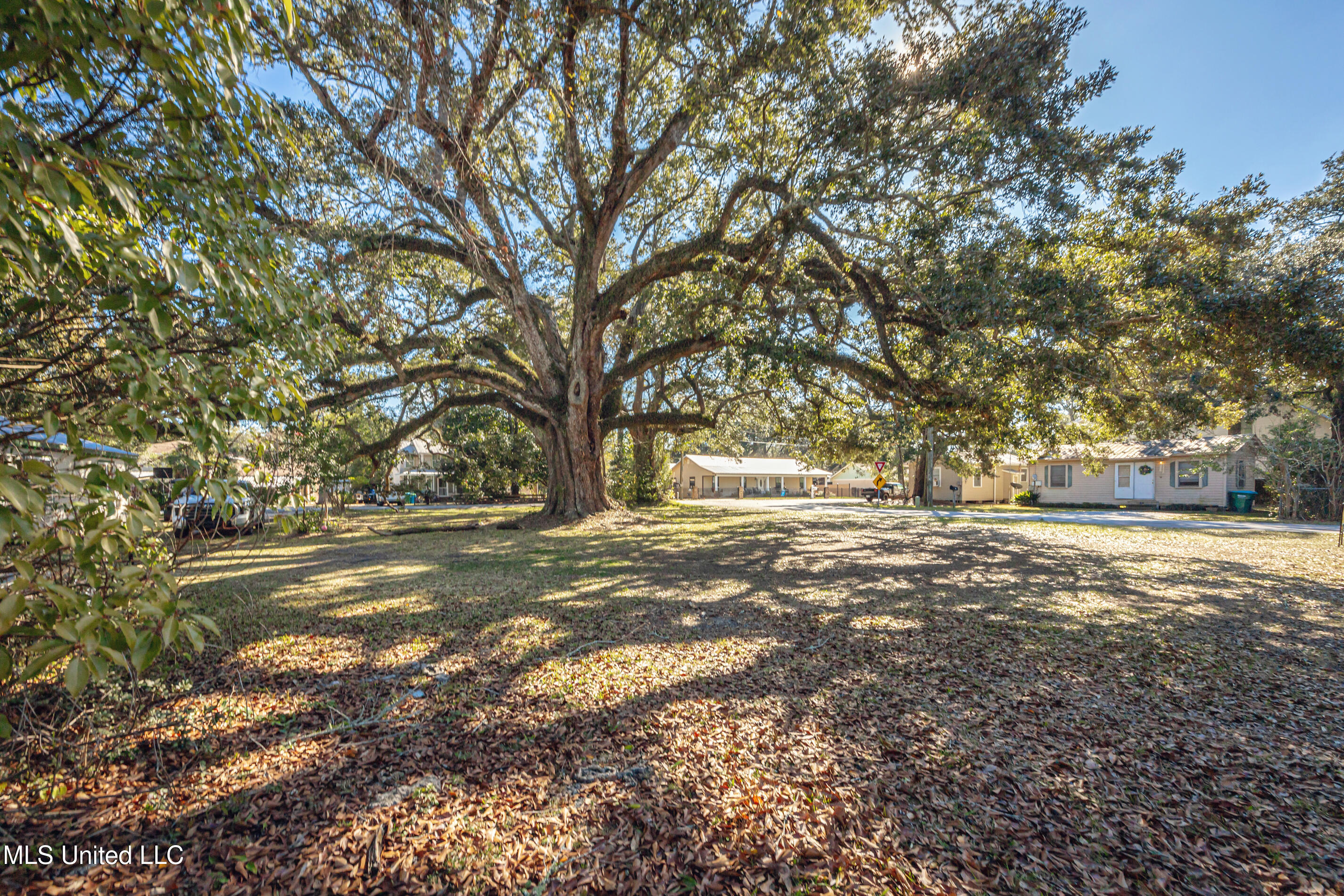 604 Magnolia Avenue