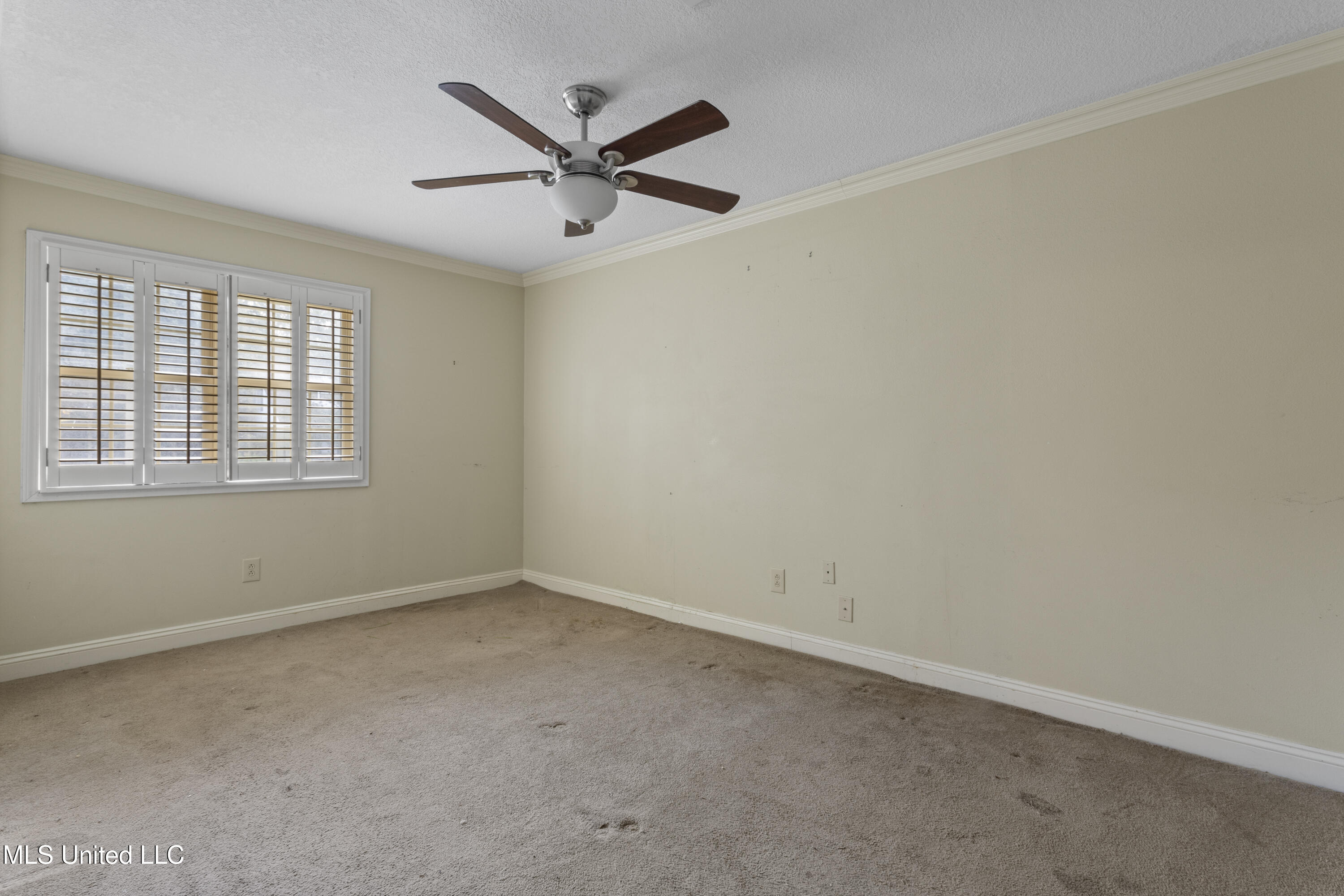 1513 Woodhaven Street