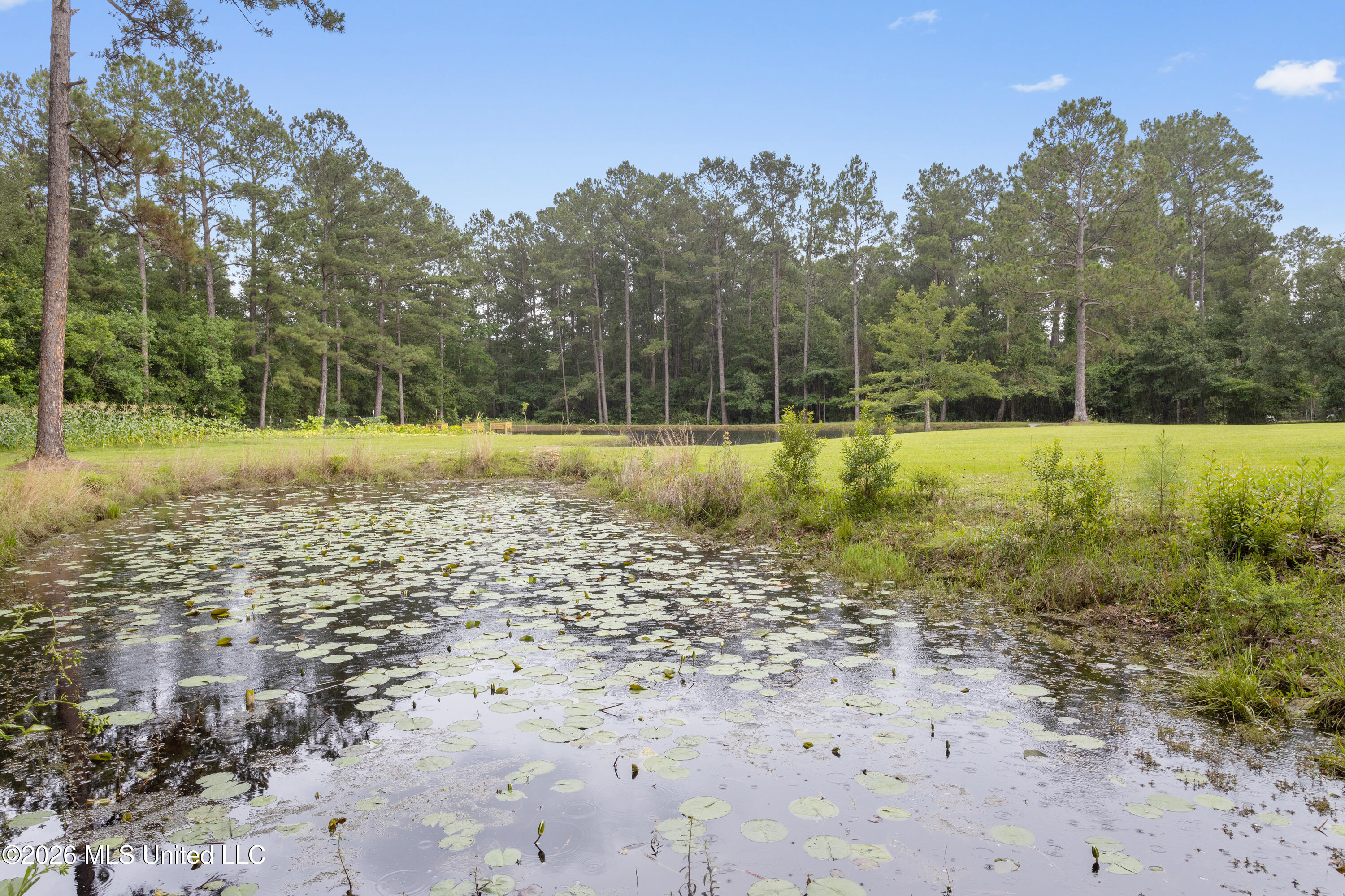 11208 Hillside Hollow Road