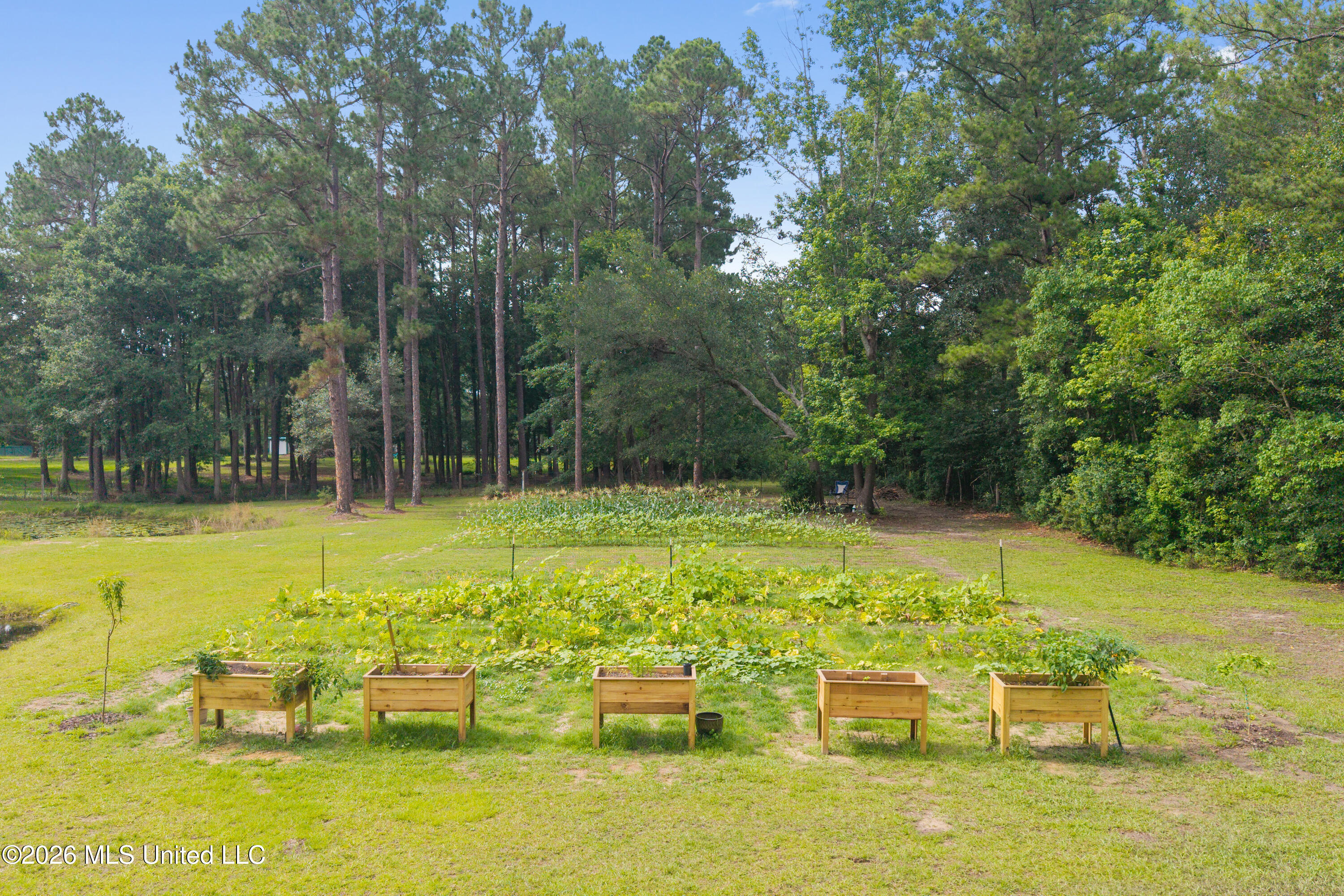 11208 Hillside Hollow Road