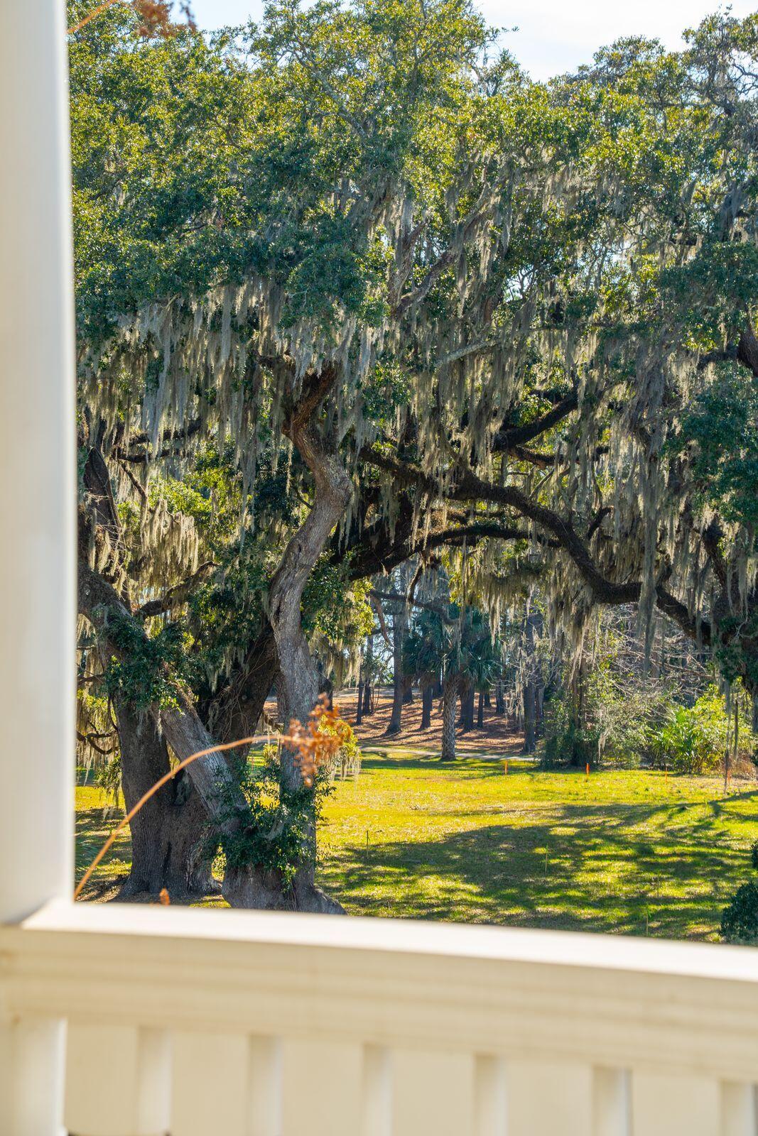 118 Fairbanks Oak Alley # 3b