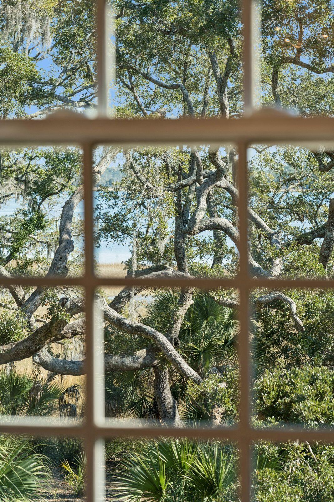 118 Fairbanks Oak Alley # 3b