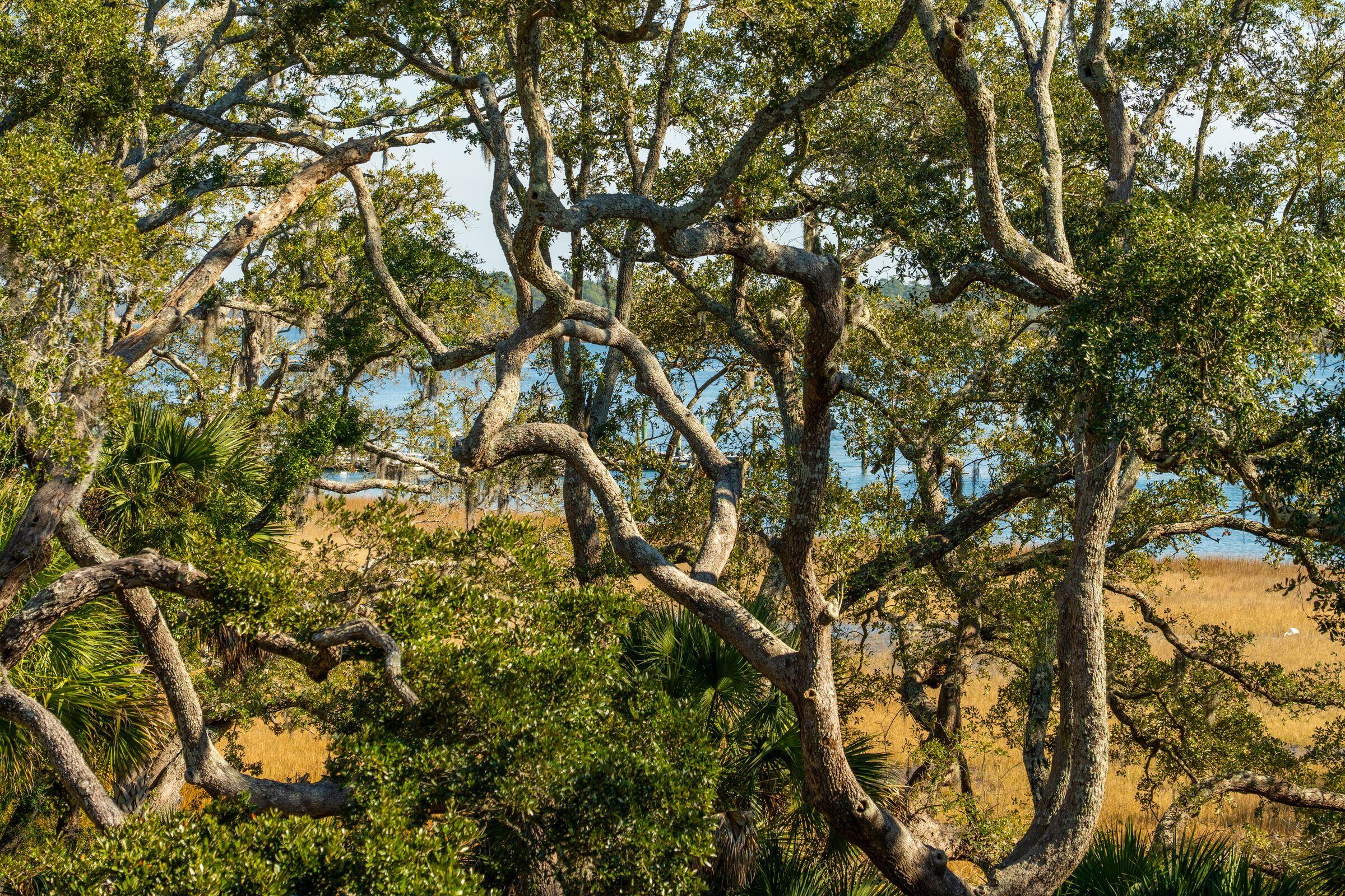 118 Fairbanks Oak Alley # 3b