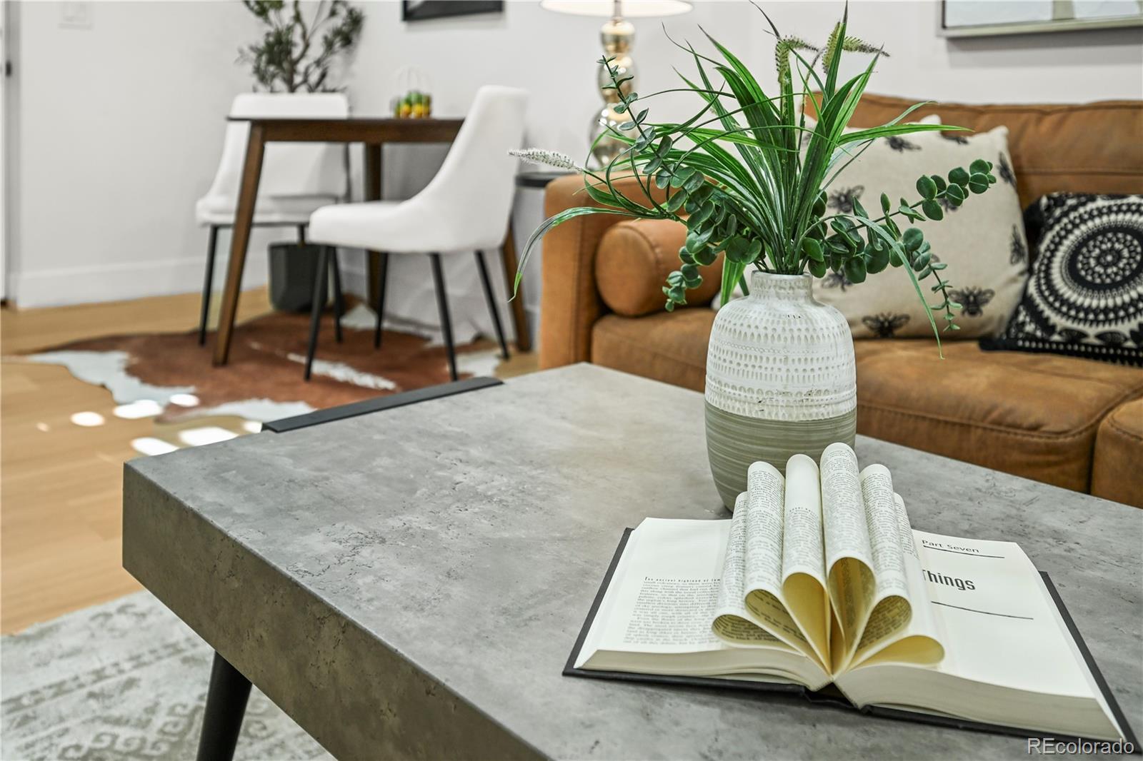 734 N Downing Street