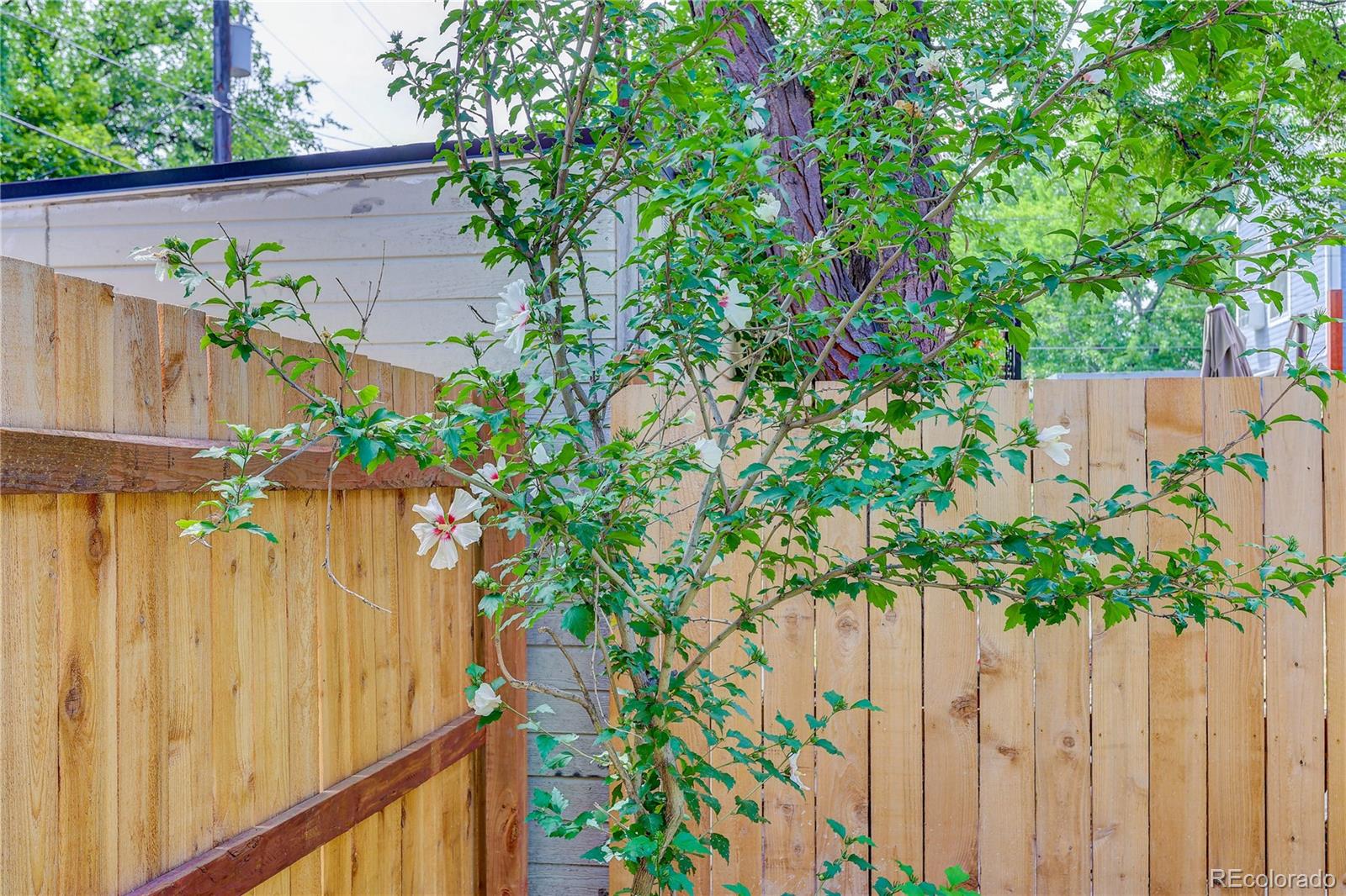 734 N Downing Street