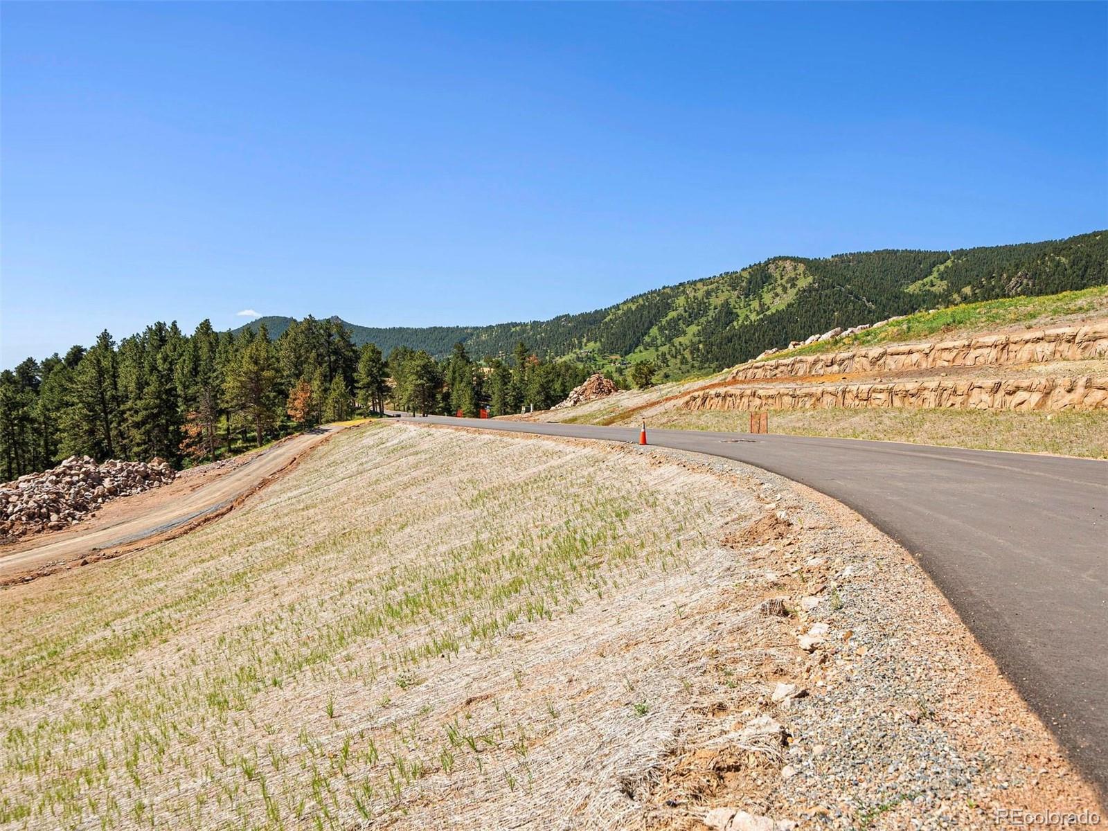 46 Canyon Pines Drive