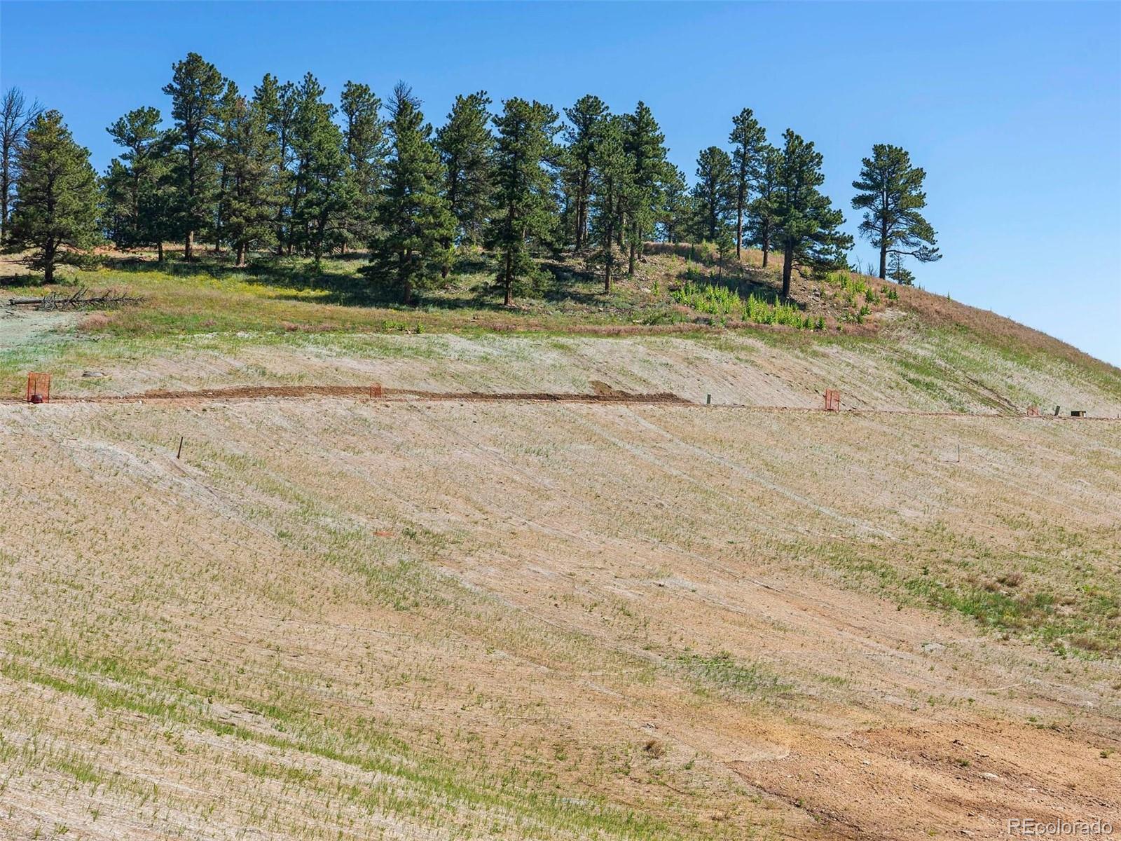 46 Canyon Pines Drive