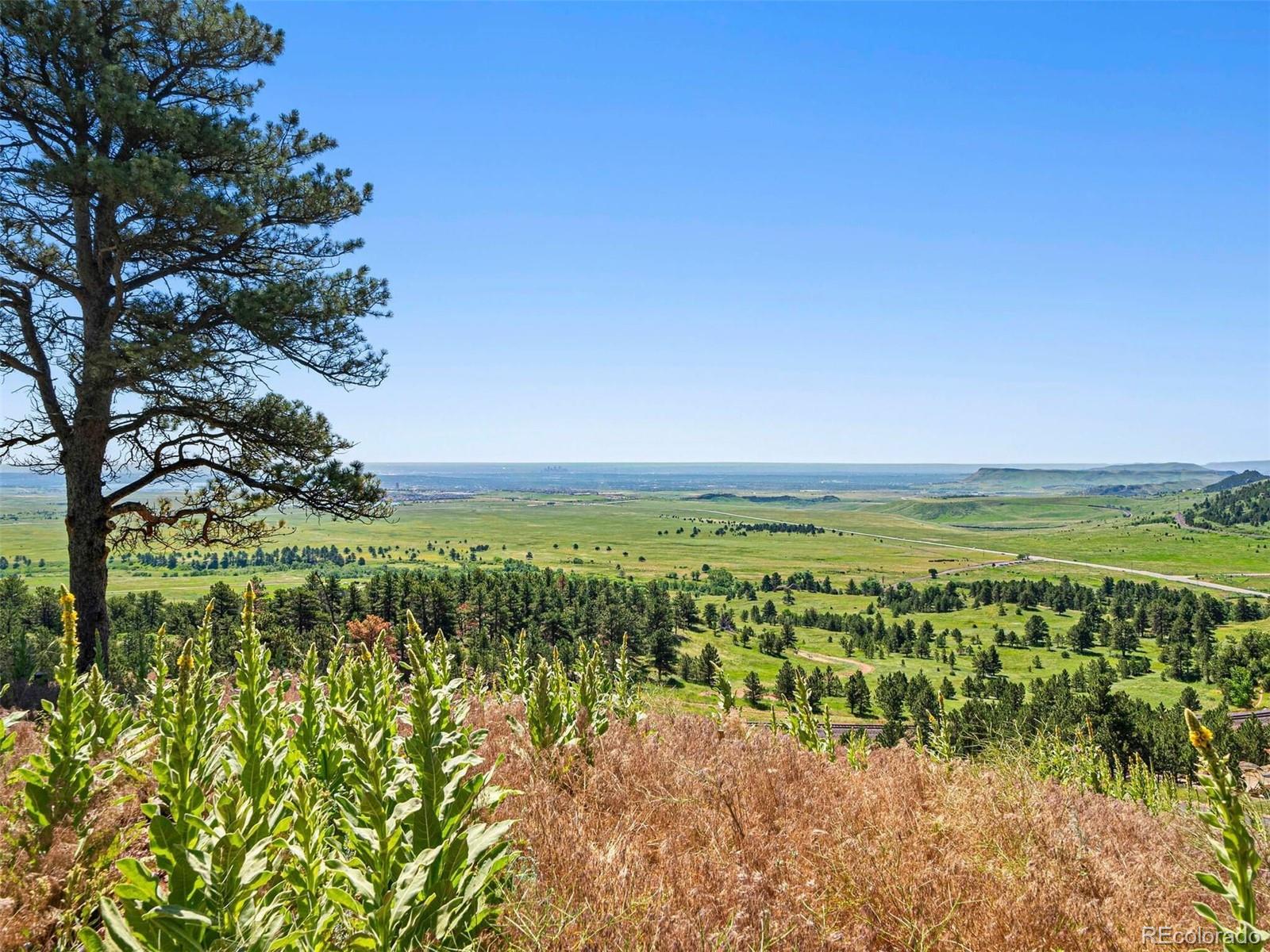 53 Canyon Pines Drive