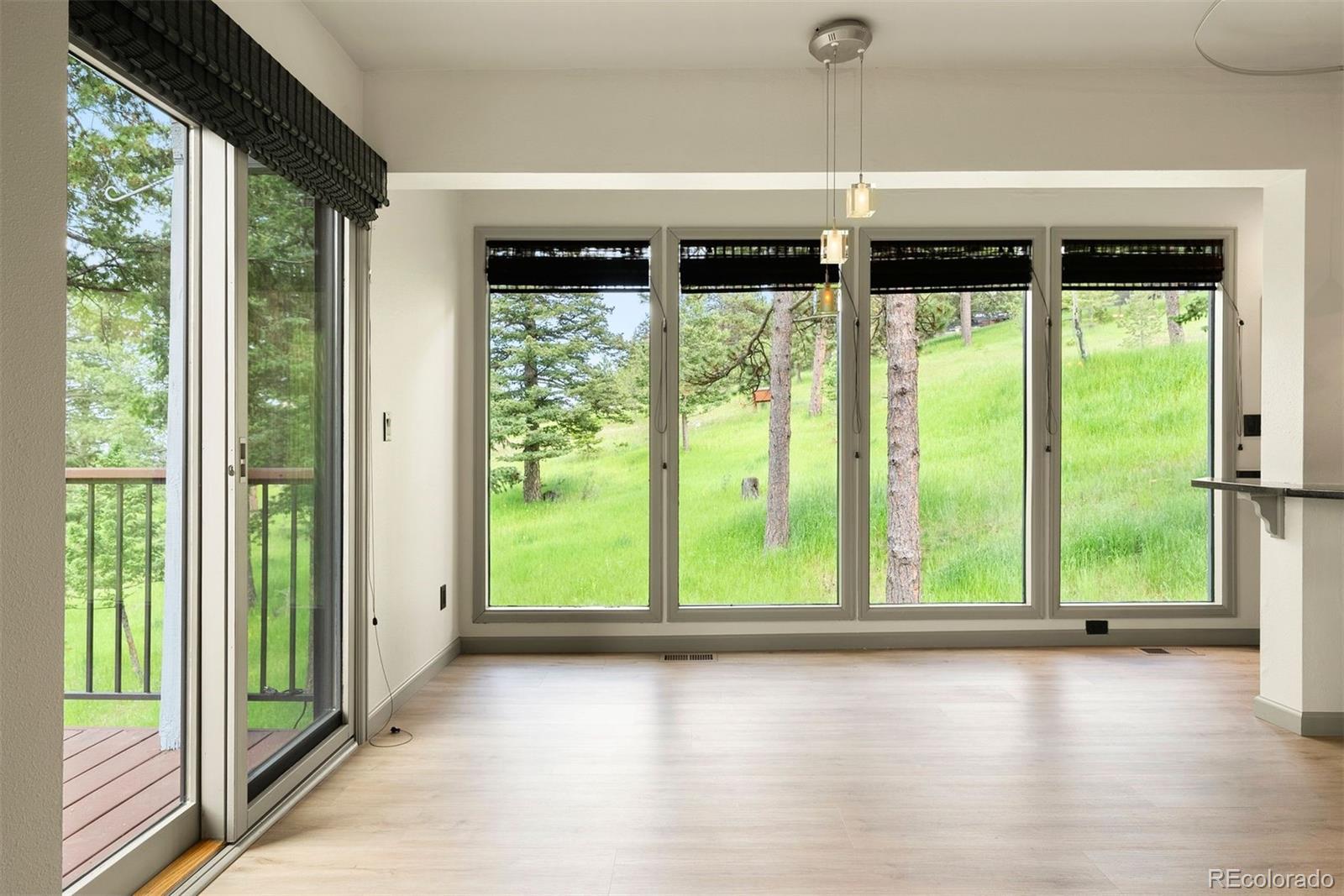 1129 Genesee Vista Road