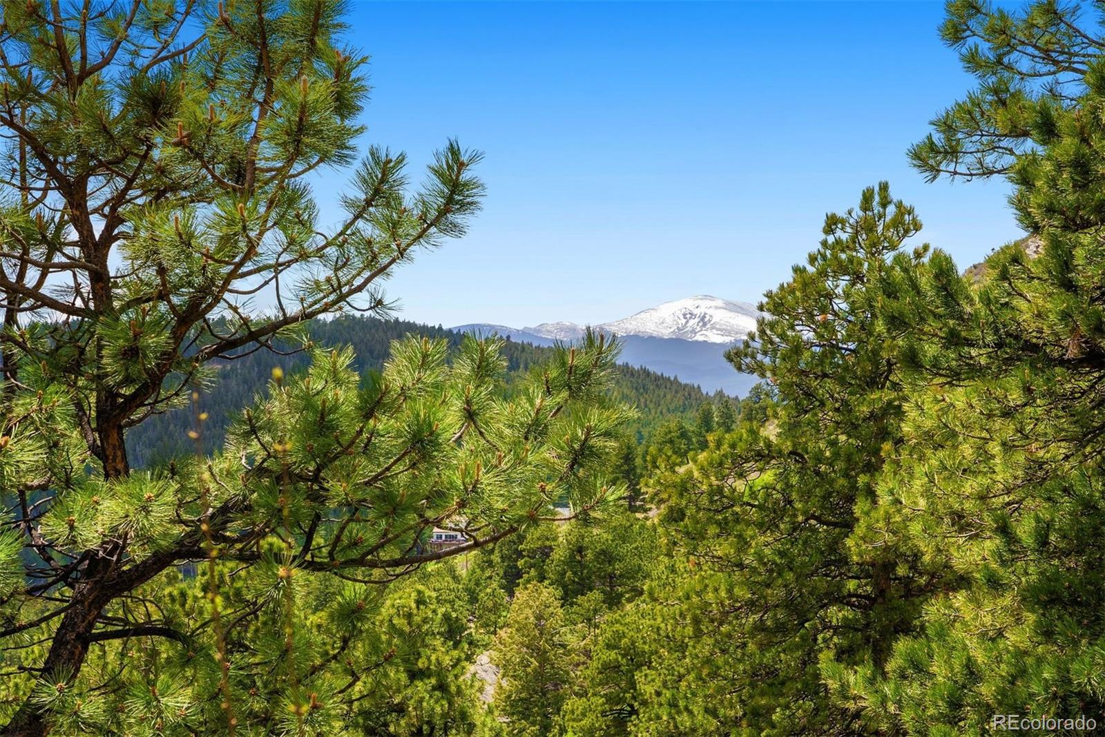 33095 Bergen Mountain Road