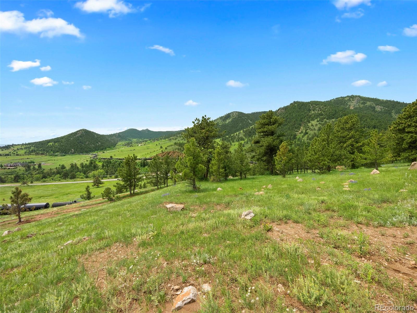 20 Canyon Pines Drive