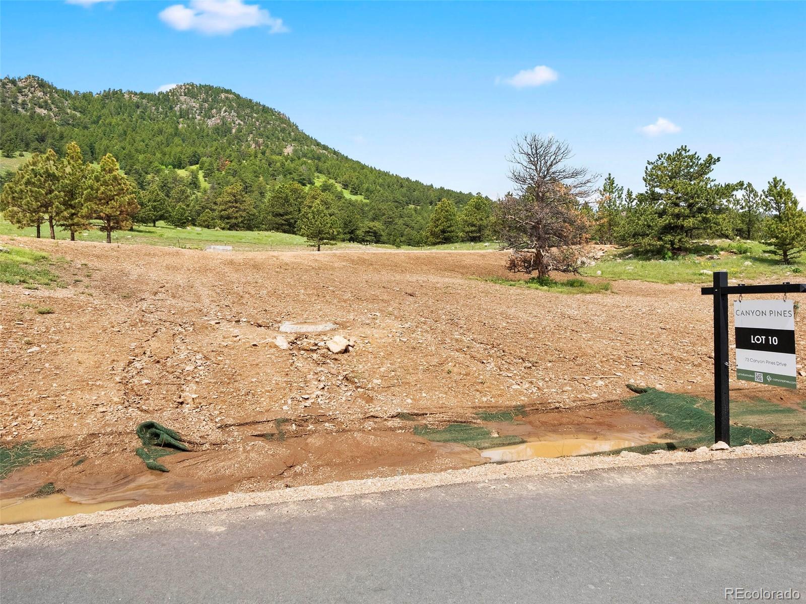 73 Canyon Pines Drive