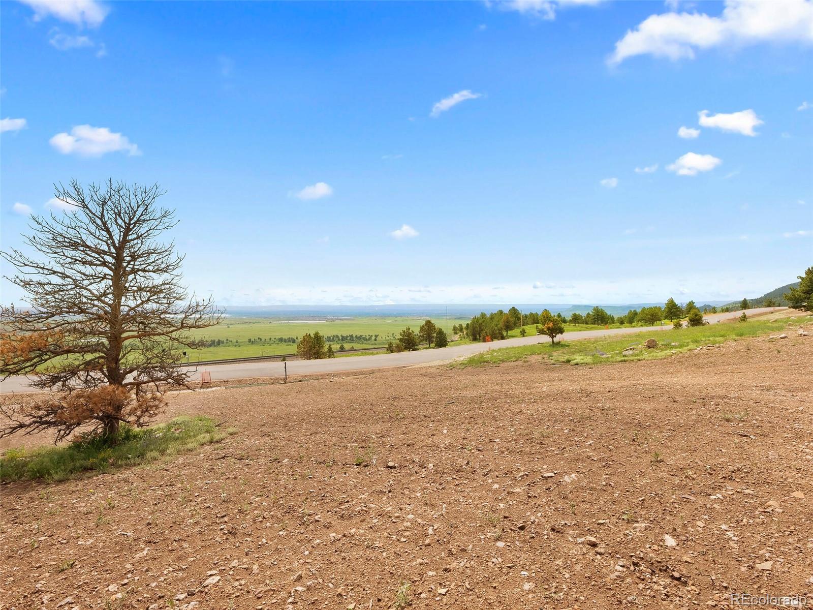 73 Canyon Pines Drive