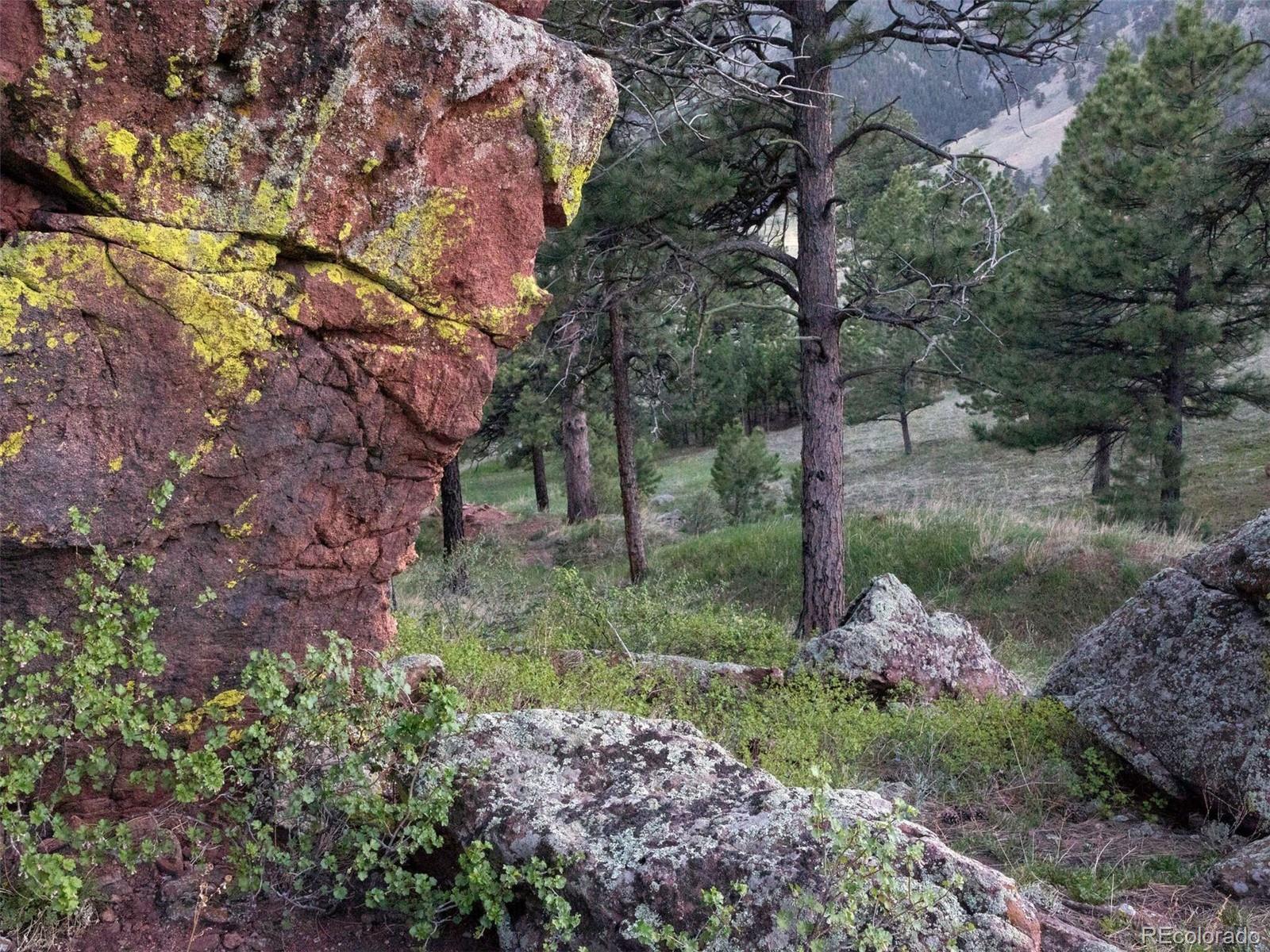 63 Canyon Pines Drive