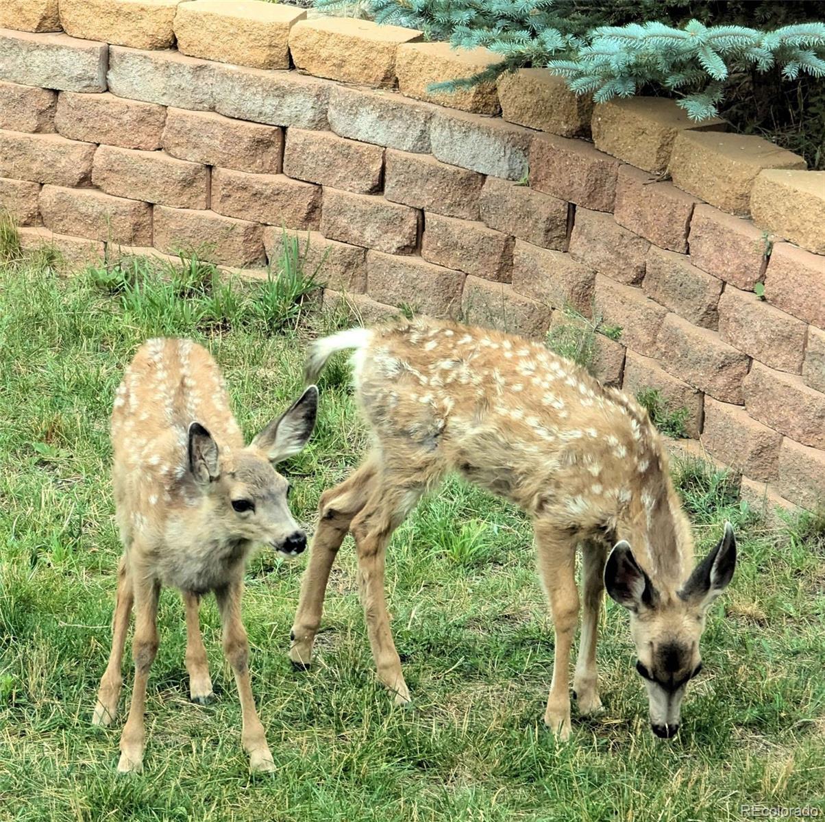 33095 Bergen Mountain Road