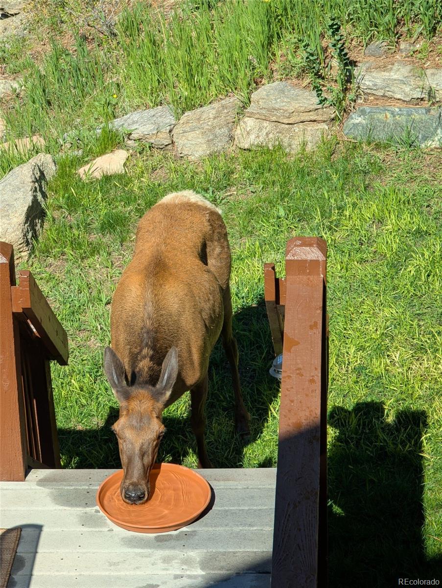 33095 Bergen Mountain Road