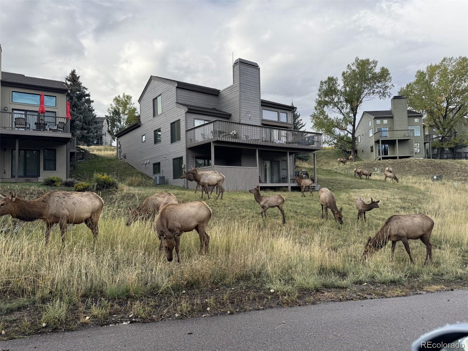 23624 Pondview Place Unit: G