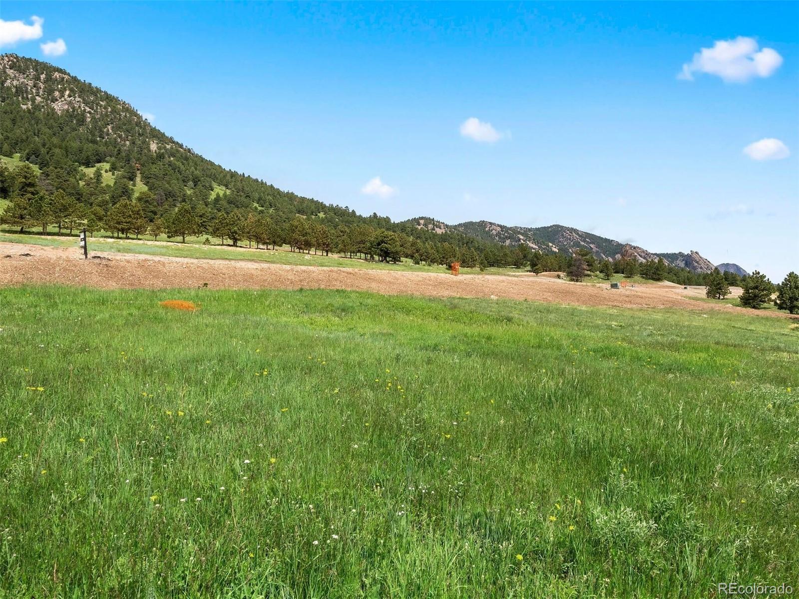 64 Canyon Pines Drive