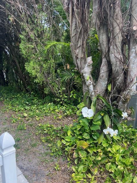 3503 NW 64th Court