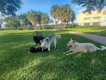 3216 SE 8th Street 303