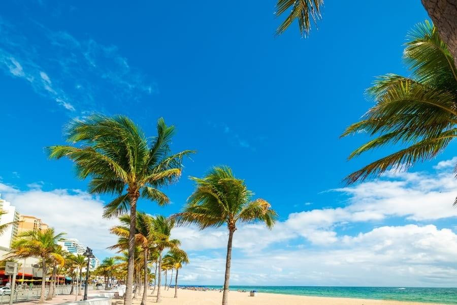 1770 E Las Olas Boulevard 403