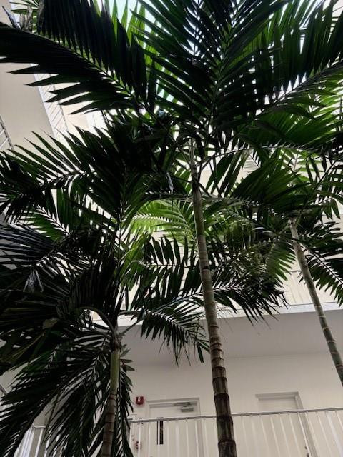 1770 E Las Olas Boulevard 403