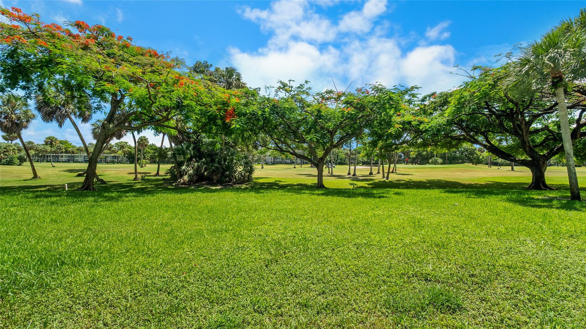 806 Cypress Grove Lane 107