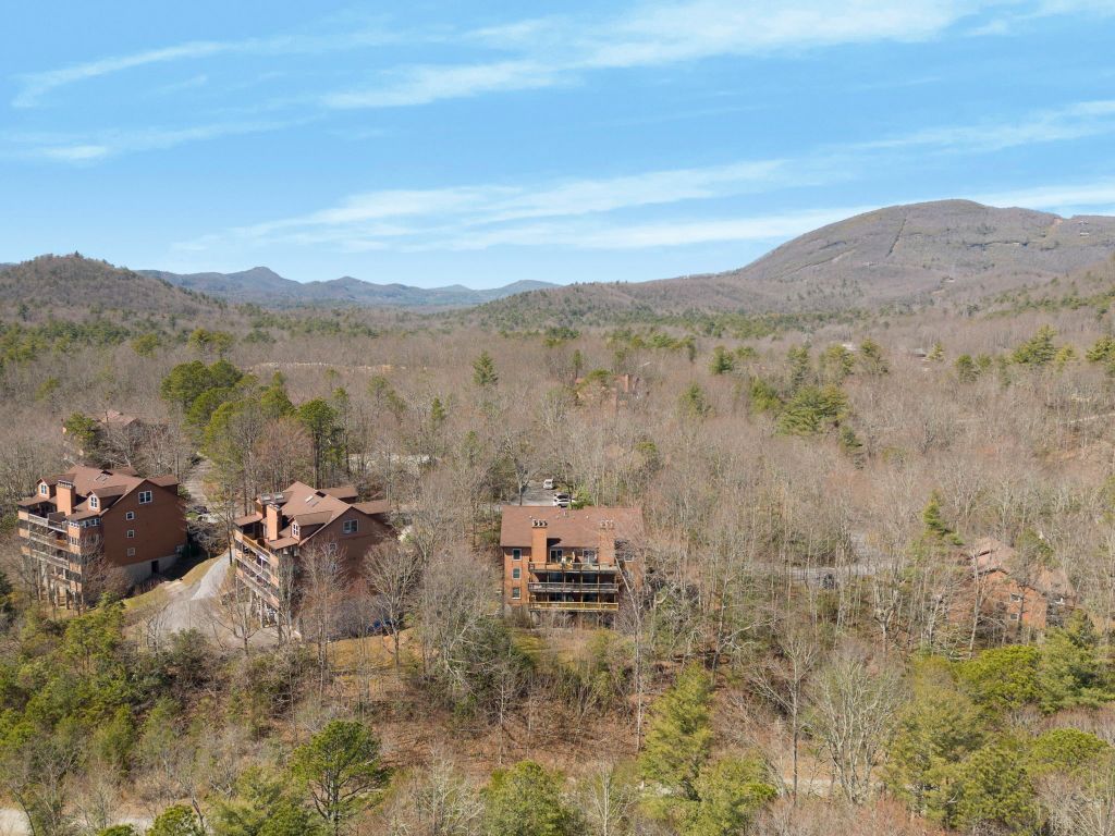 73 Toxaway Views Drive 306