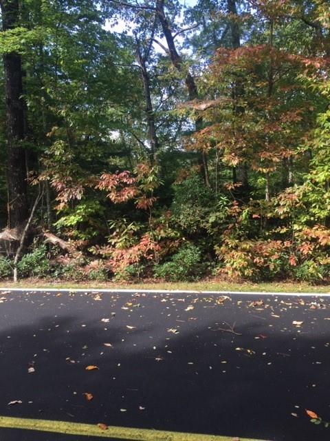 27 Hawk Mountain Road