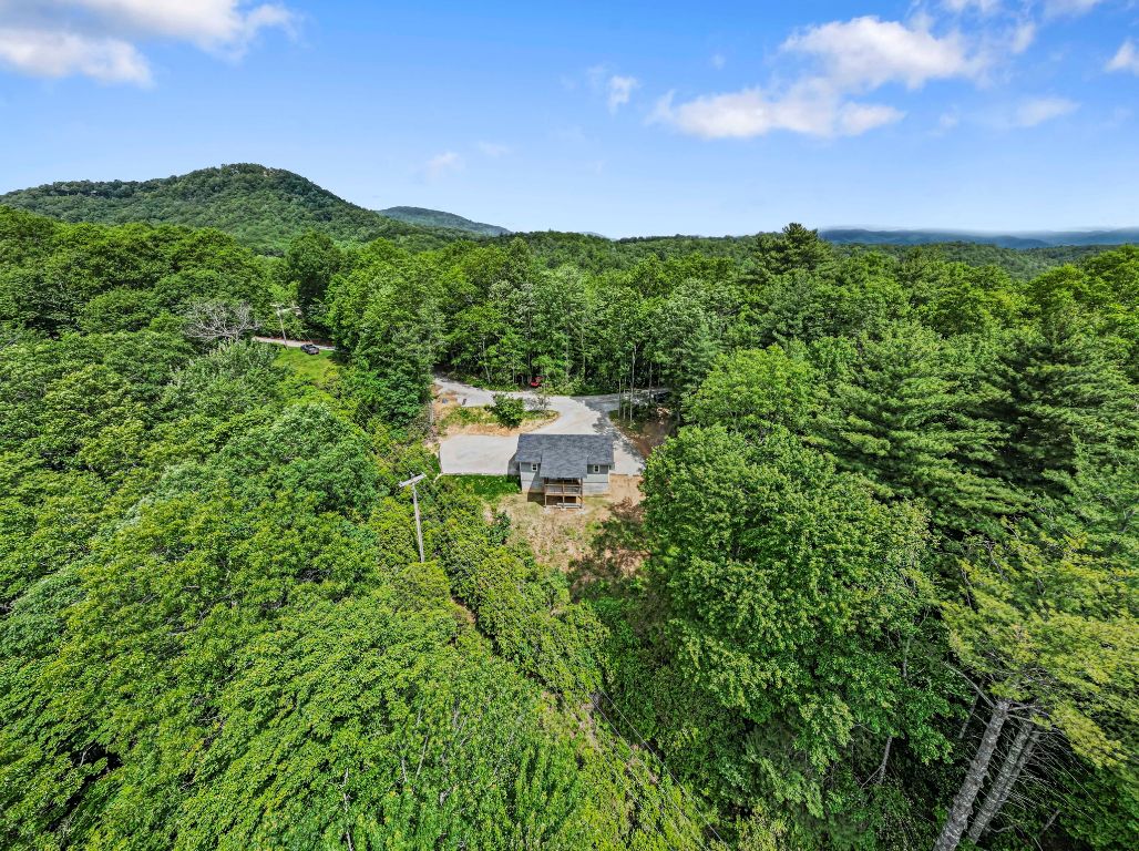185 Little Elbow Mountain Road